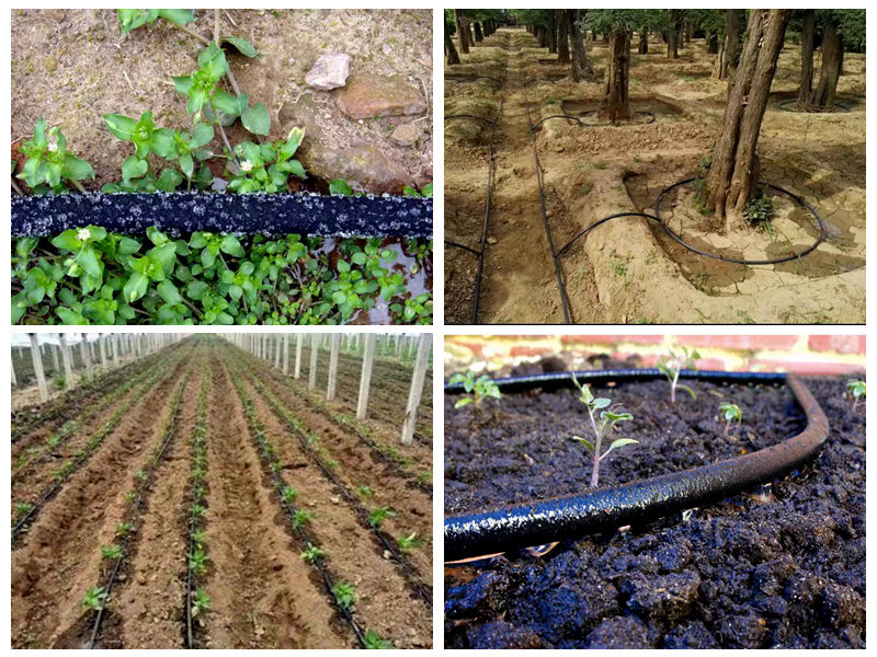 Kaip laistymui naudojama guminė mirkymo žarna?